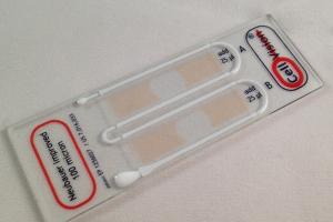 CellVision Microscope Chamber Slides, Animal Sector